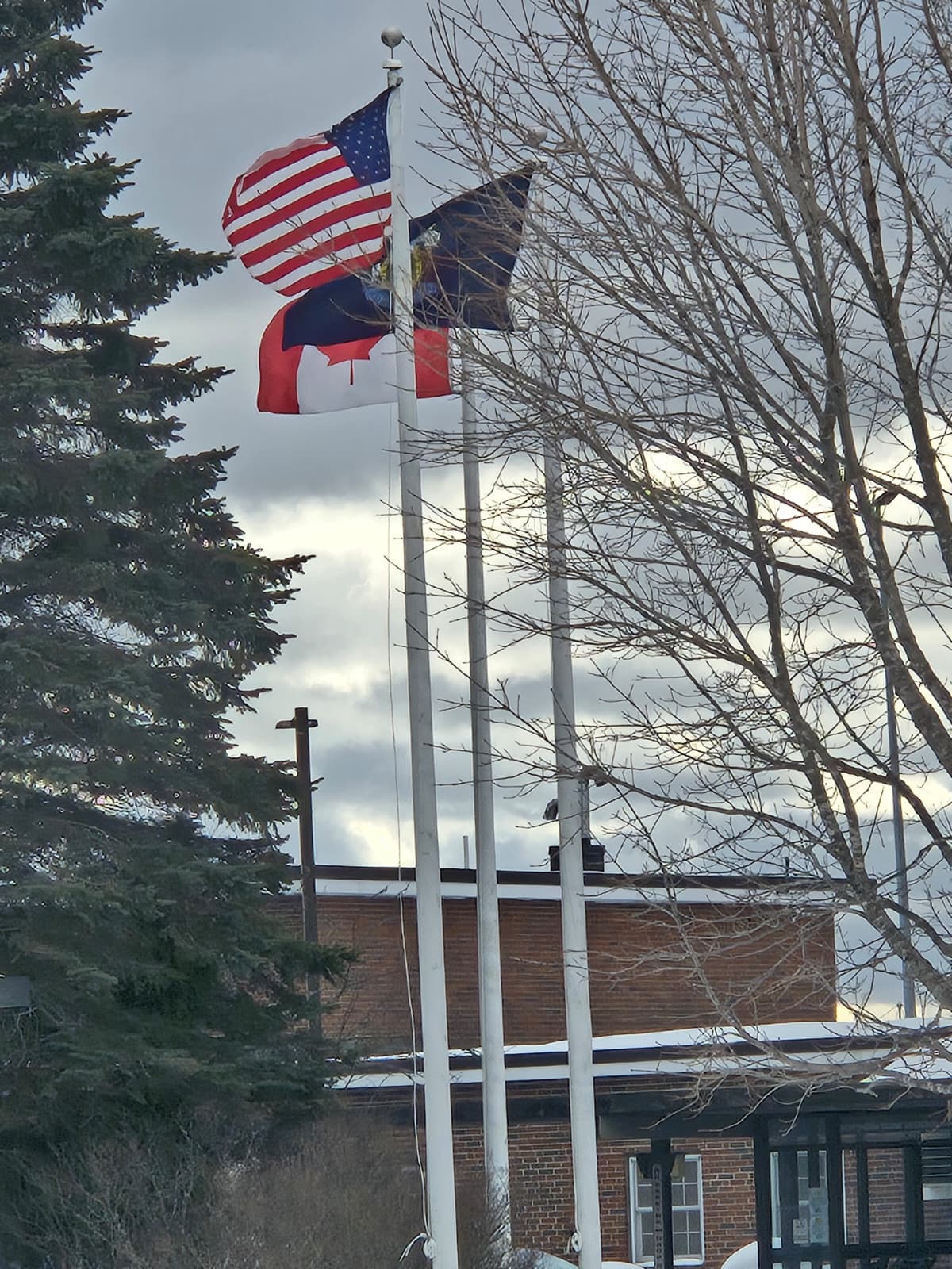 WhatsApp Image 2026-02-19 at 21.19.56