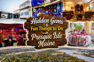 Best Figure Skating Book for All Skaters